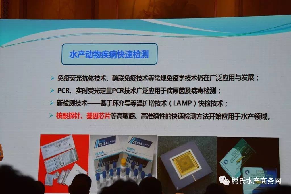 中国水产科学杂志，引领水产行业发展的权威媒体力量