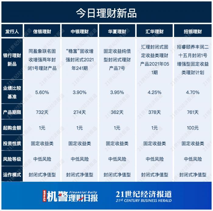 基准纯风险保费，解析其概念、作用与意义