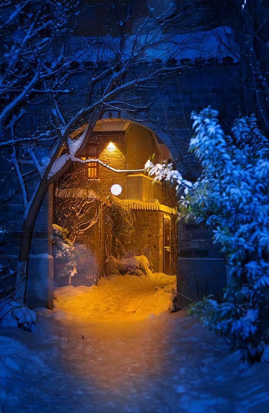 雪夜小诗