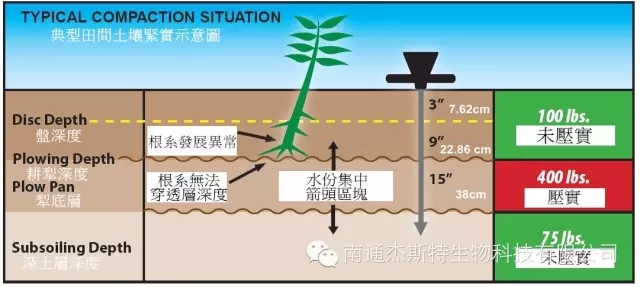 土壤质地测定，深入了解土壤性质的关键步骤