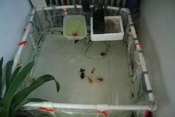 PVC水管价格分析