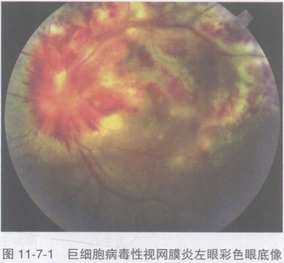 admin 第574页