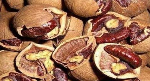 蜂王胎，探寻最佳食用时间