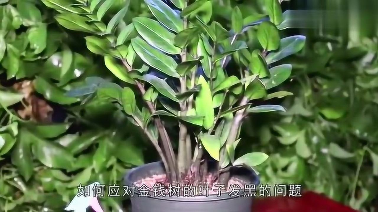 文化新闻 第140页