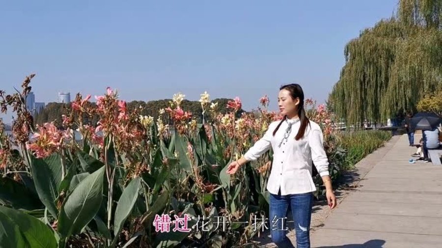 缘分四川，一场美丽的遇见