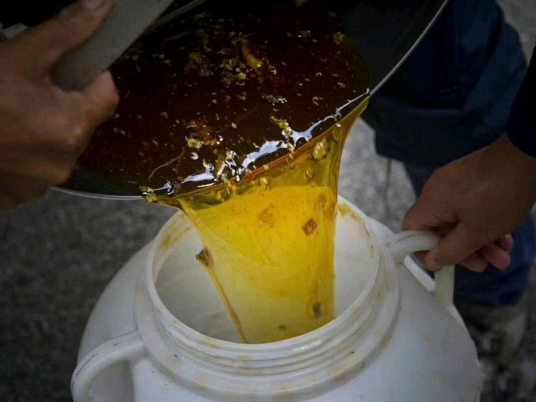 提取蜂蜡的最佳方法
