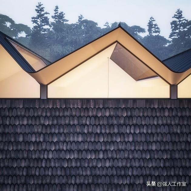 圆形叶子与边缘锯齿，自然之美的独特表达