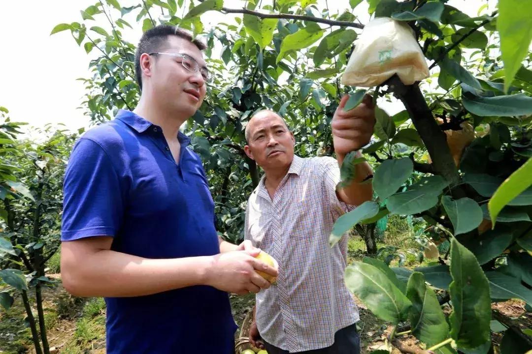 贷款业务特点及其在现代金融体系中的重要性