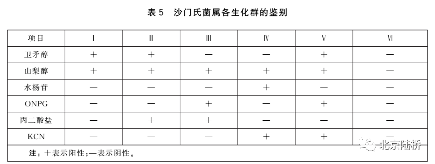 沙门氏菌属诊断血清，理解其重要性及应用