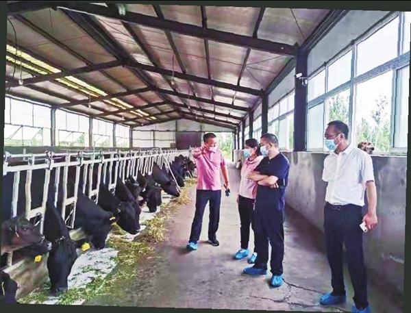 华茂牧业公司电话，连接你我，共筑畜牧事业新篇章