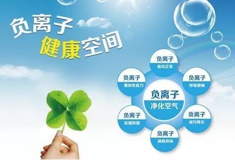 促进新陈代谢的维生素，理解其在人体健康中的作用与重要性