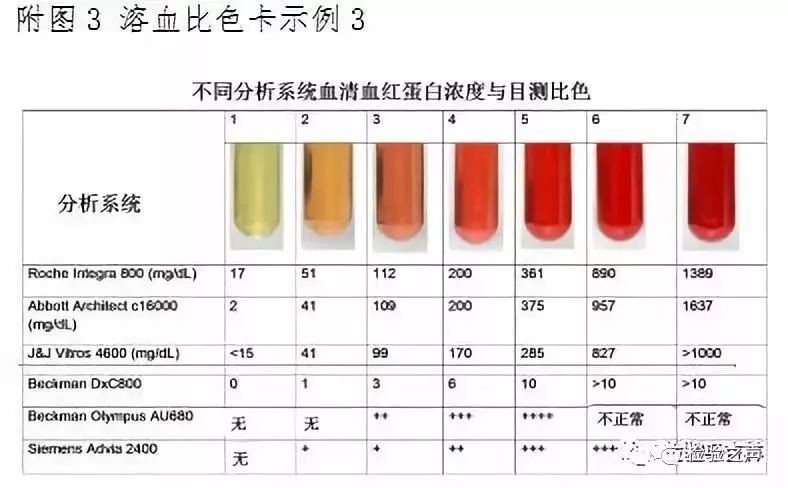 BI血清比较，探索不同来源血清的特性和应用