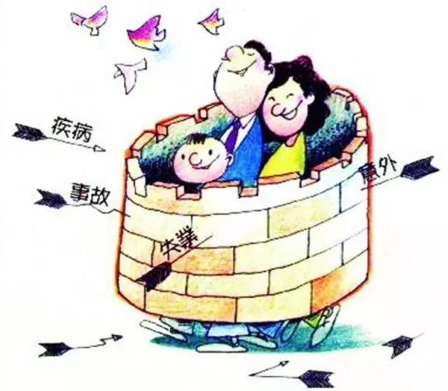 保险的业务种类，多元化与个性化并存