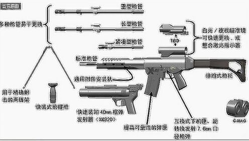 步枪教学，从基础到精通的全面指南
