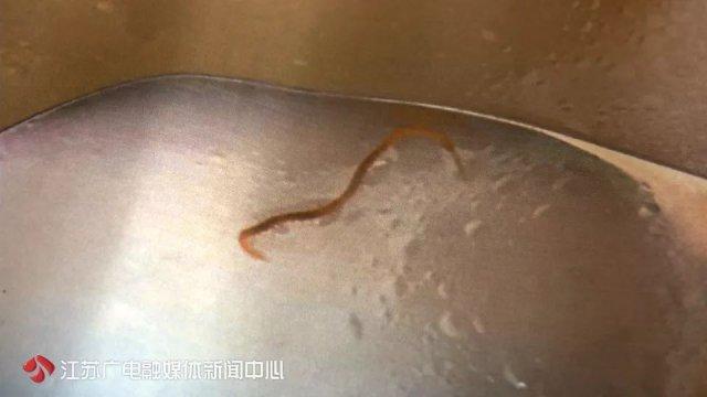 月子中心的收费及其考量因素，深度解析与对比探讨