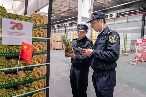 关于进境水果果园注册号不符的问题探讨