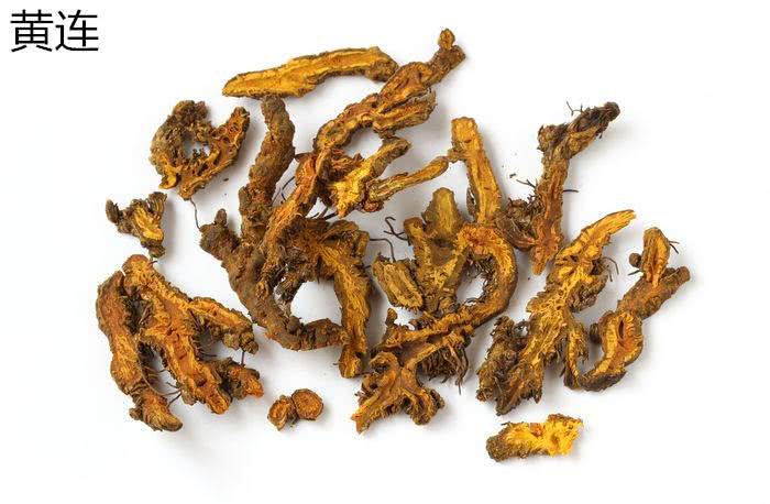 生地黄与黄连，中药世界的独特魅力