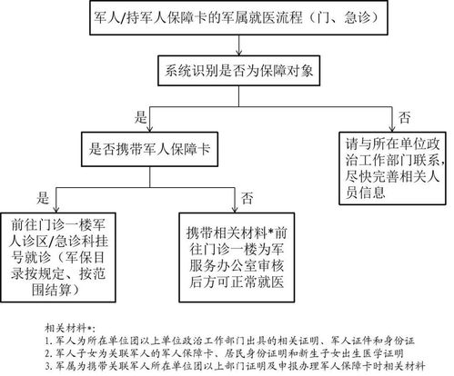 关于续保手续的重要性及其流程解析