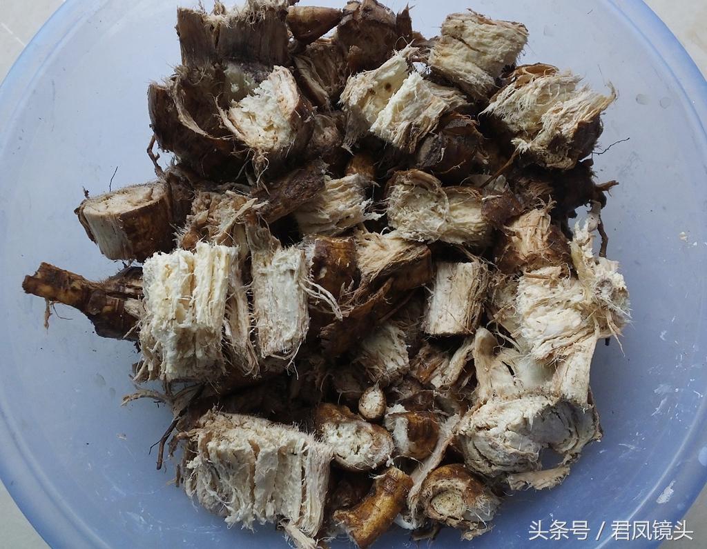 黄莲中药的作用及其重要性