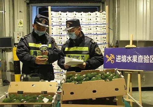 海关水果进出口批文的重要性及其流程解析