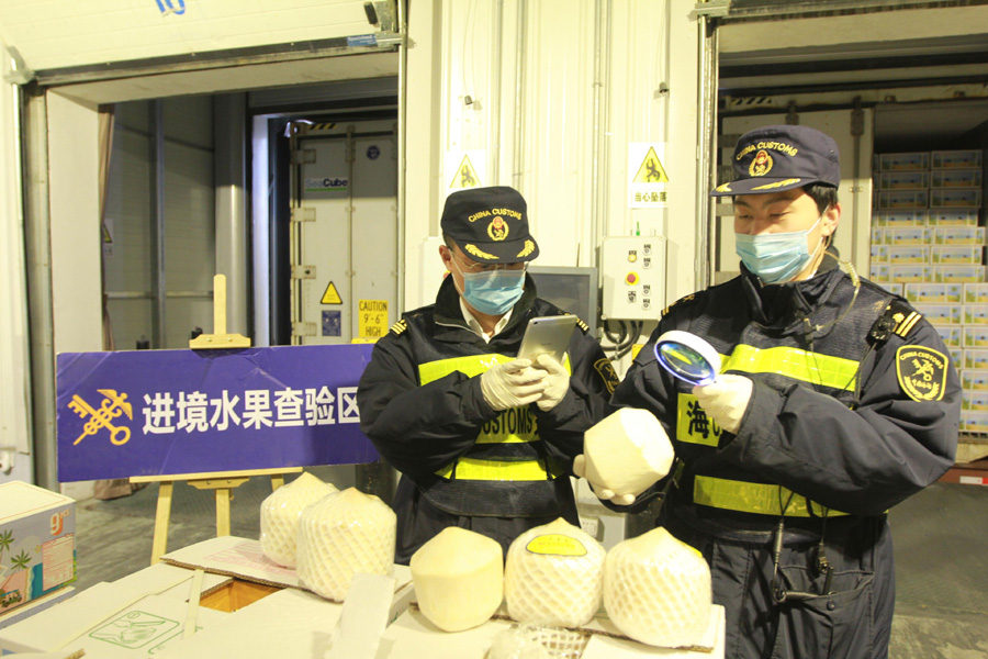 进口水果海关消毒，确保食品安全的重要环节