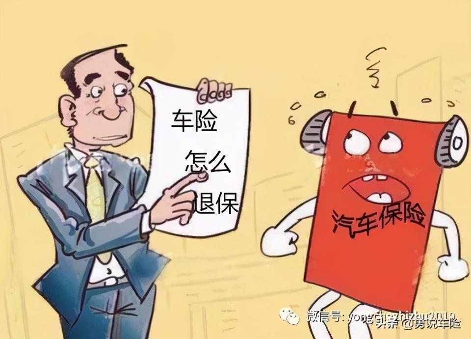 续保再出险，风险管理与保险服务的持续优化