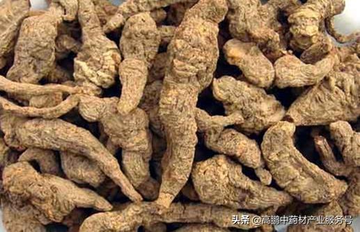 防风黄莲熟地，中成药的奥秘与应用