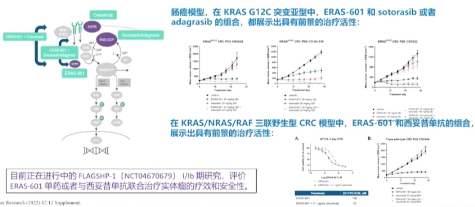 艾坦疗效，重塑疾病管理的未来之路