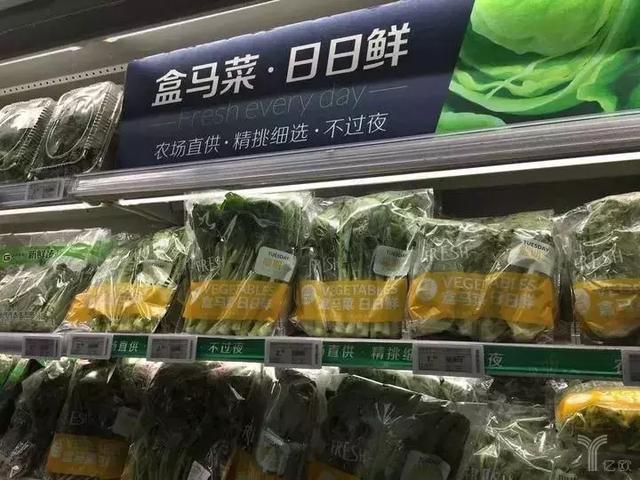 食品宣传，塑造品牌形象与提升市场影响力