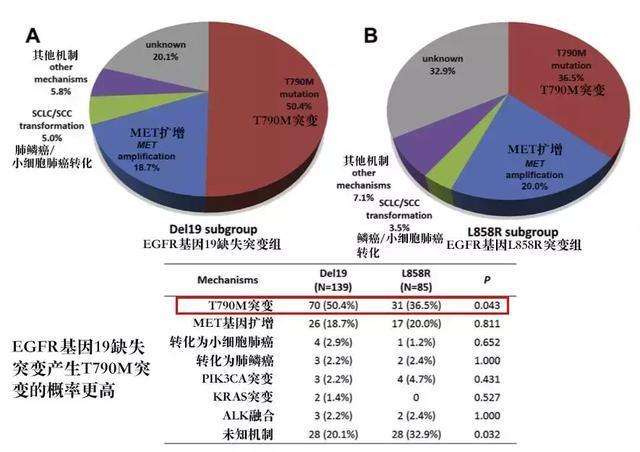 泰瑞沙的疗效，探索与解析