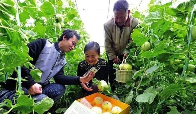 2025年4月 第371页