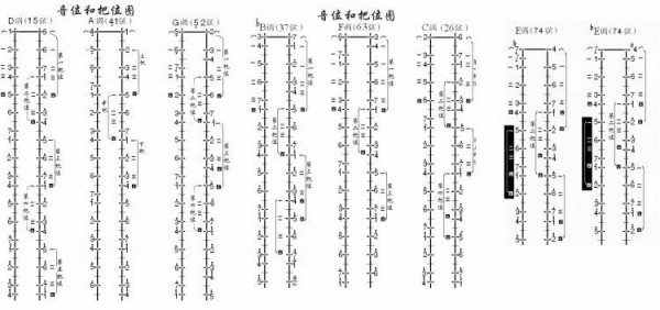 低音二胡，传统与现代的交融之美