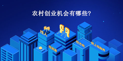 农村创业，探索与机遇