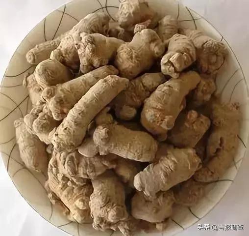 田七的疗效，揭示古老草本植物的神奇力量