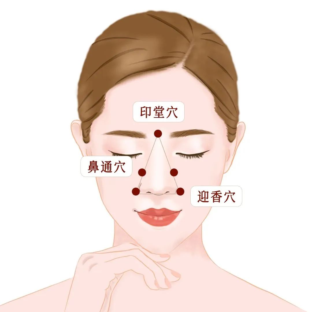 鼻子穴位，探索中医经络的秘密