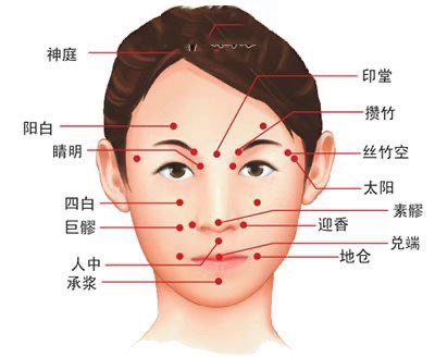 鼻子上的经络图，揭示人体经络的奥秘