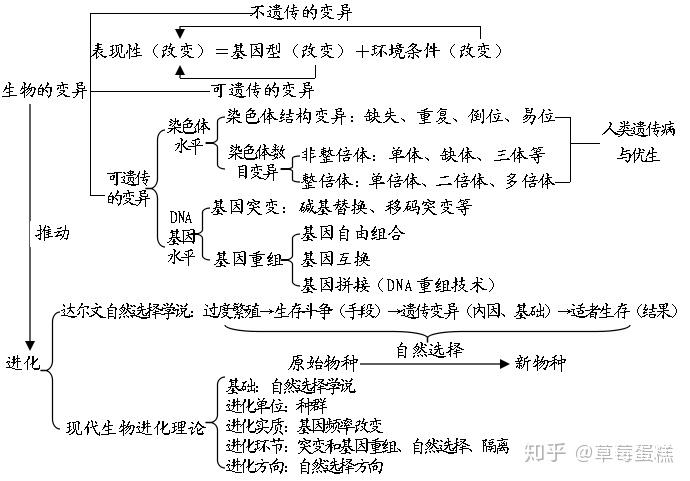 如何撰写相关活动经历，一份详尽的指南