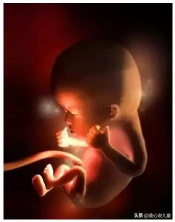 肚子最小的孕妇，奇迹的诞生与生命的尊重