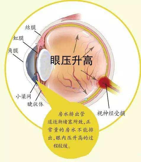 文化新闻 第88页