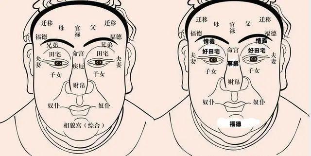 鼻子大的男人说明什么