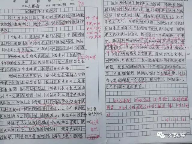 品茶活动中的作文