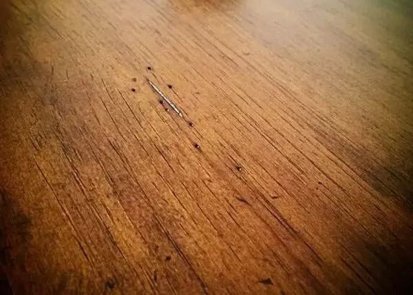工作生活 第84页