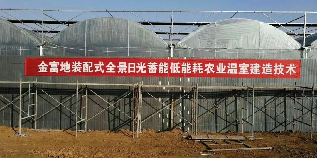 简易组装日光保温棚，一种高效实用的农业技术革新