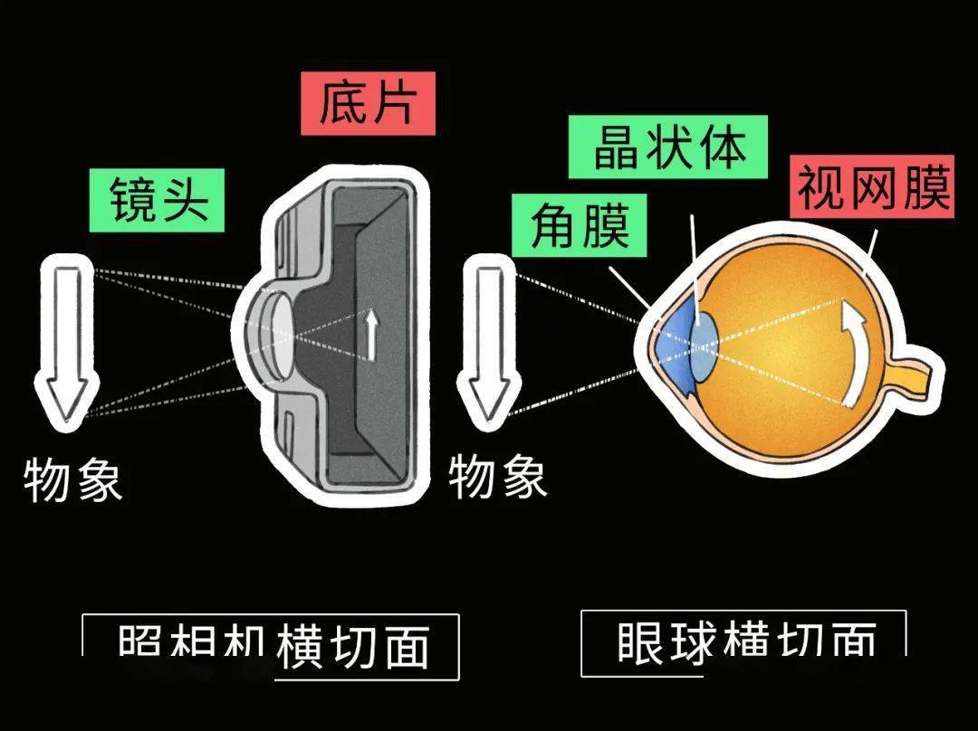 复视与眼罩，一种有效的治疗策略
