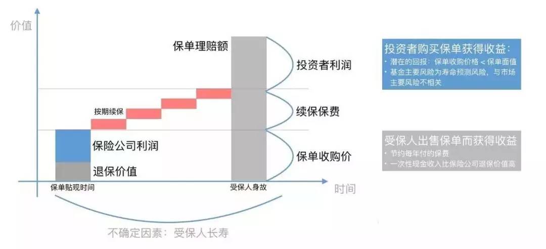 贴现的形式，深度解析与应用探讨