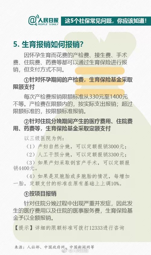 如何撰写社会活动经历，一份详尽的指南