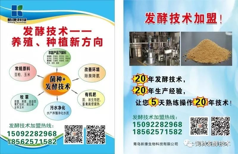 猪饲料种类及其特点