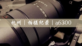 关于A6300重量的深度探讨