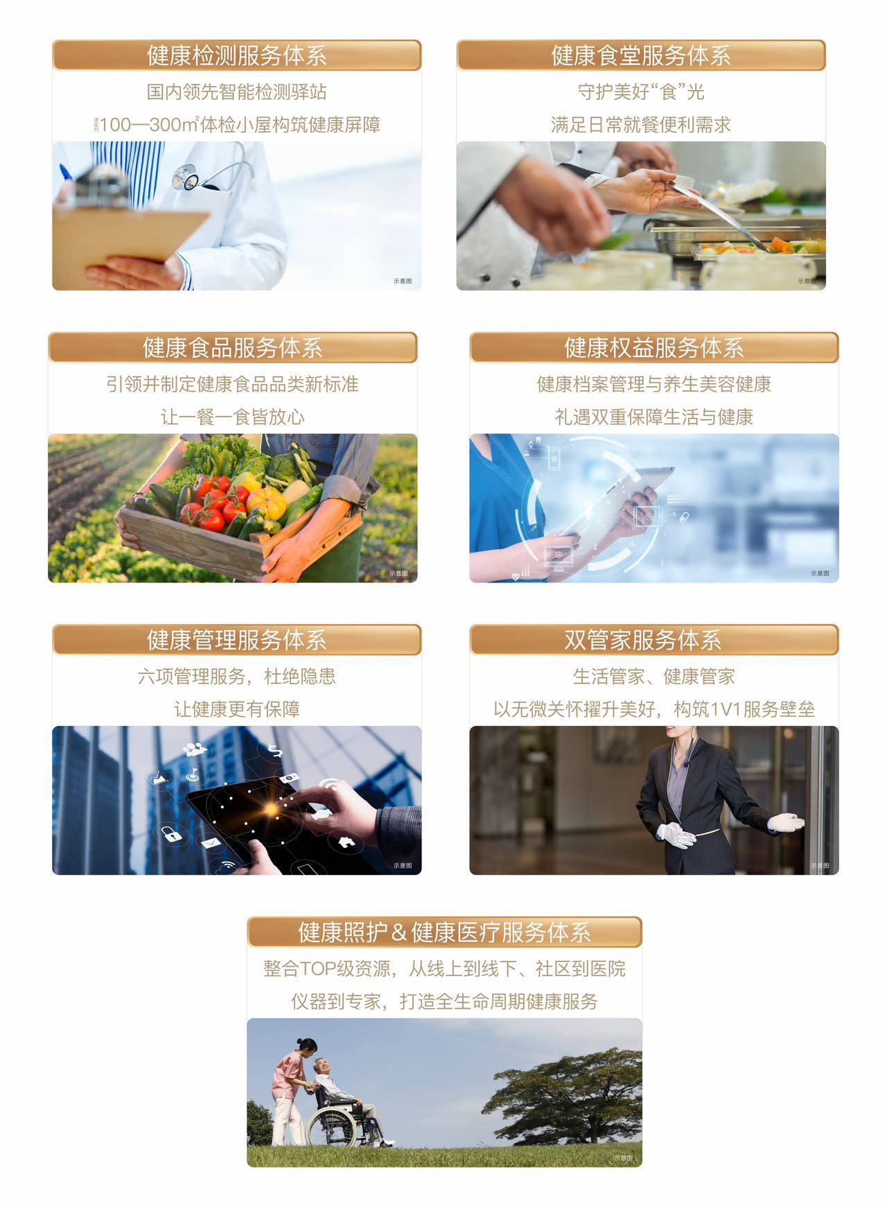康佰产品，品质卓越，引领健康生活方式