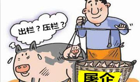 人搬运重量的挑战与应对